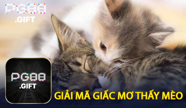 Mơ thấy mèo