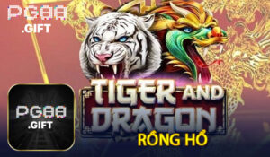 Rồng Hổ